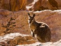 Standley Chasm_20070912_009